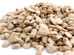 cicerchia1