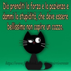 giunta cercasi