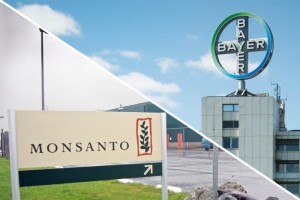 bayer-monsanto