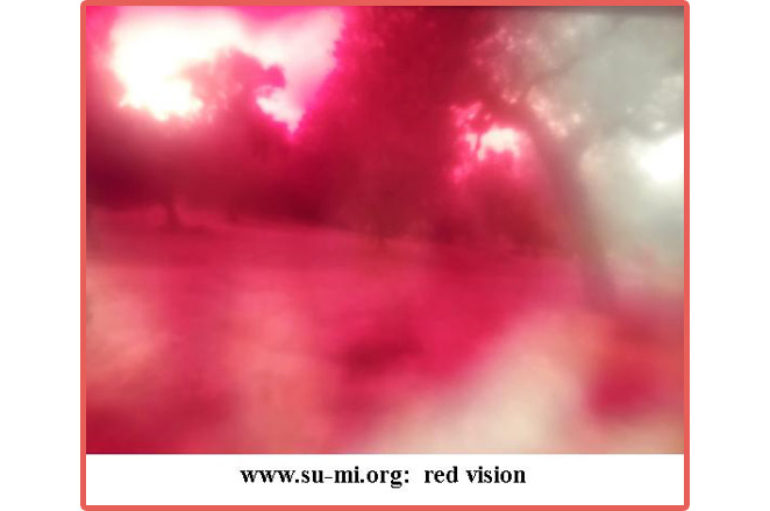 www.su-mi.org:  red vision