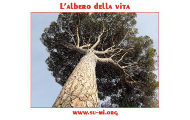 www.su-mi.org:  l’albero della vita