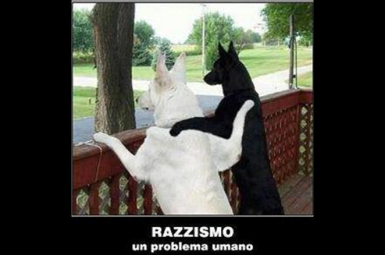 Persone non bomboniere