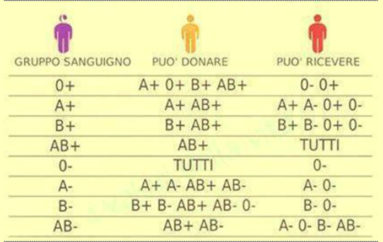 Costituzione incompiuta