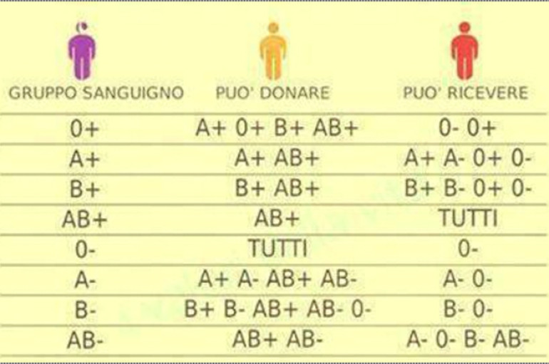 Costituzione incompiuta