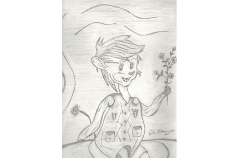 Residenze per la salute mentale