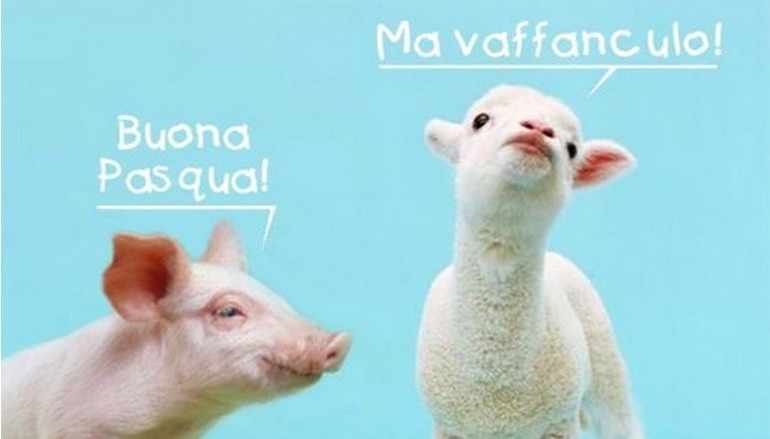 Posta al giornale