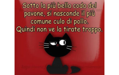 Dal cavallo al coniglio