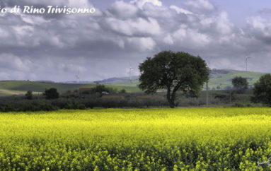 Agricoltura sostenibile