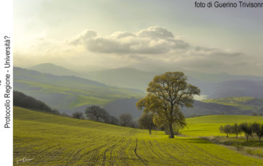 Molise da studiare