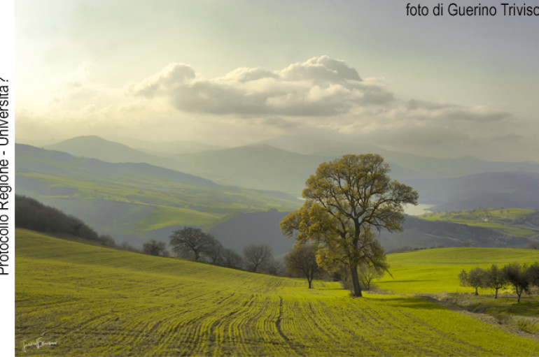 Molise da studiare