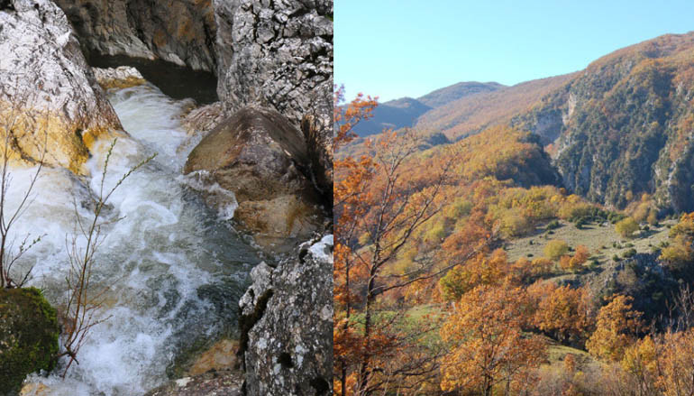 Il WWF nel Molise