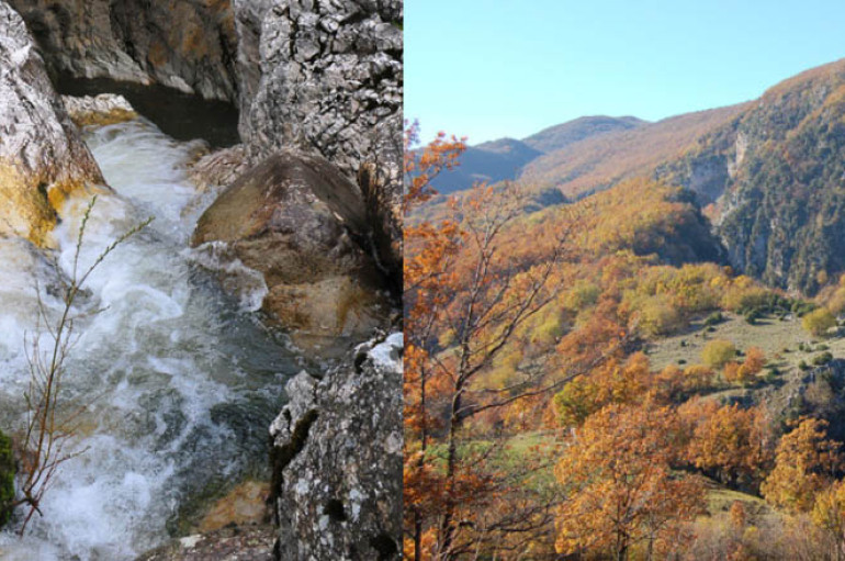 Il WWF nel Molise
