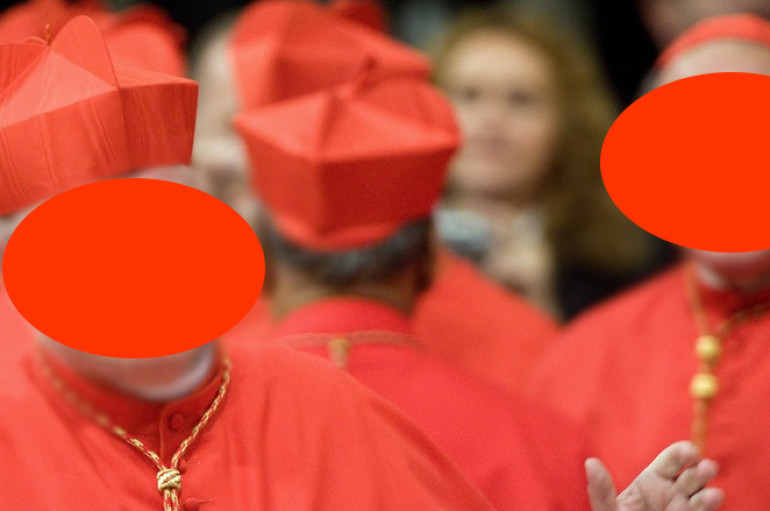 Vita da cardinale