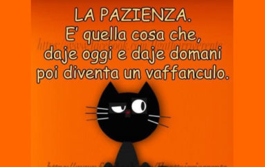 Il consigliere delegato