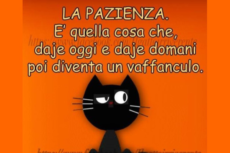 Il consigliere delegato