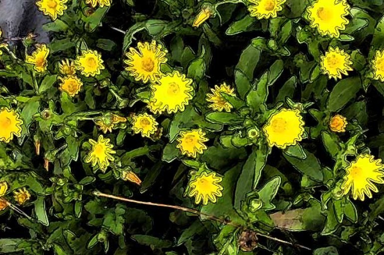 L’orologio dei contadini