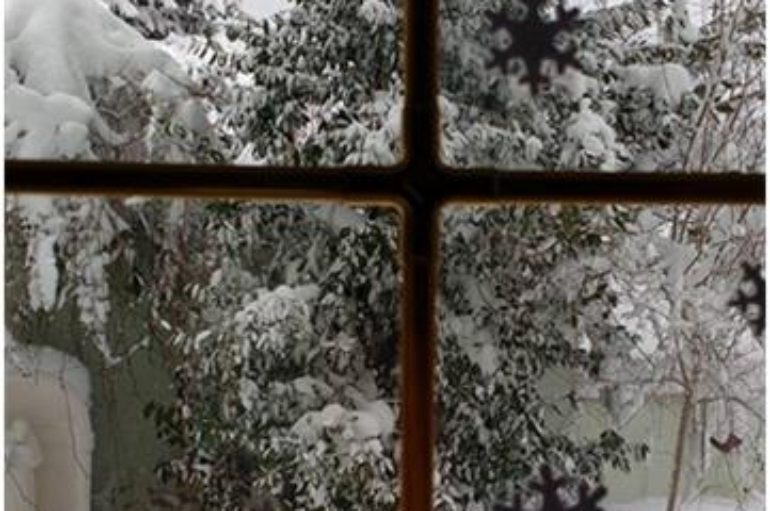 Neve