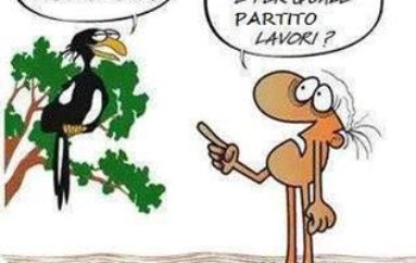 Turismo sostenibile