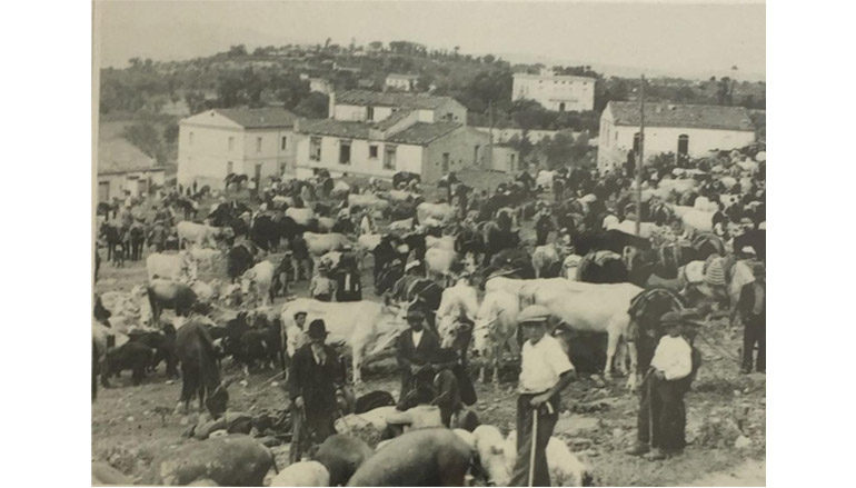 Filiera in fiera – Una proposta concreta per rilanciare il Molise che Resiste