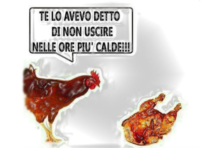 Acqua, acqua, fuoco, fuoco. Un’estate di incendi