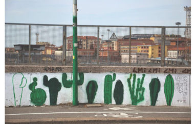 Fotografia:  “cactus senza spine” di Greta Polimene