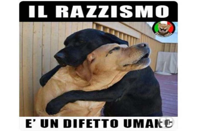 Più immigrazione, meno lavoro?