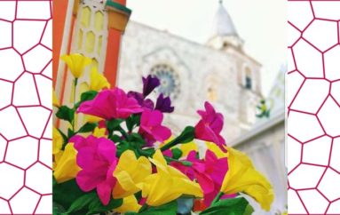 I fiori di san pardo