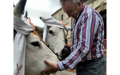 San pardo, opportunità di sviluppo!