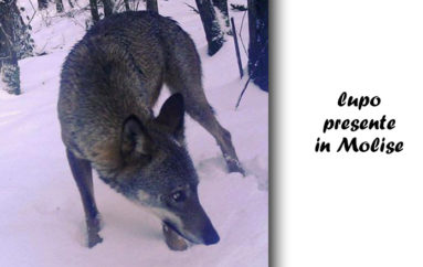 Un decalogo per il paesaggio