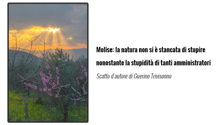 Scatto d’autore di Guerino Trivisonno