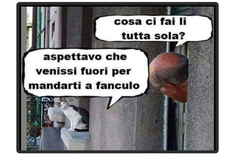 Il petrolio del 21° secolo