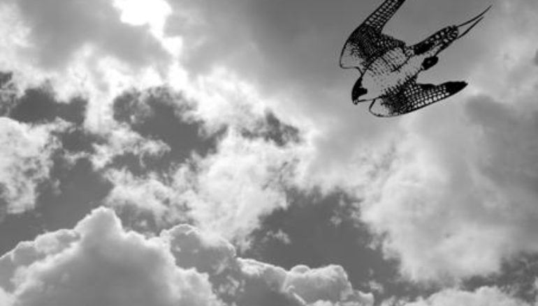Nicola Aquilante: fake fly