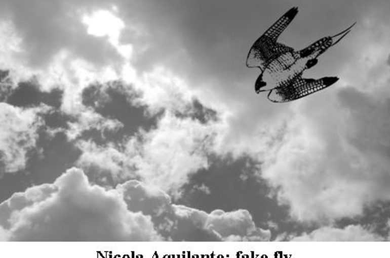 Nicola Aquilante: fake fly