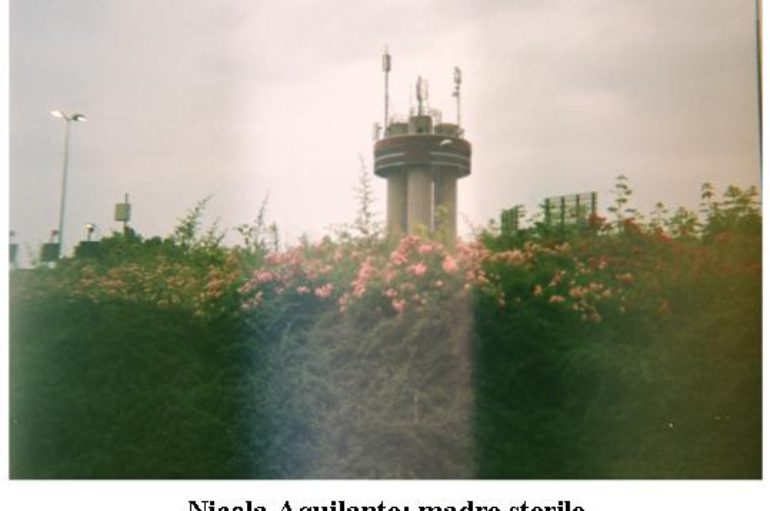 Nicola Aquilante: madre sterile
