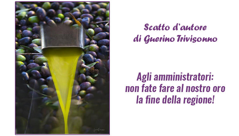 Scatto d’autore di Guerino Trivisonno