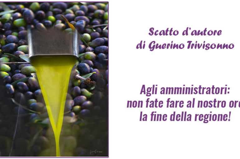 Scatto d’autore di Guerino Trivisonno