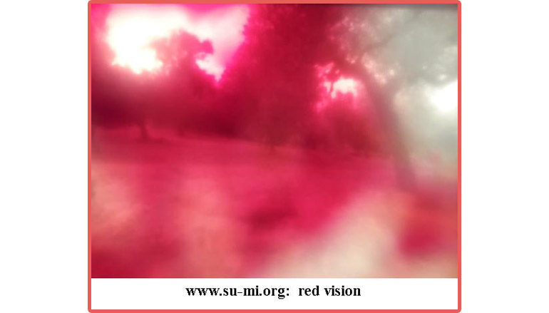 www.su-mi.org:  red vision