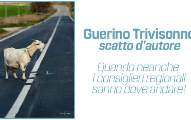 scatto d’autore di Guerrino Trivisonno