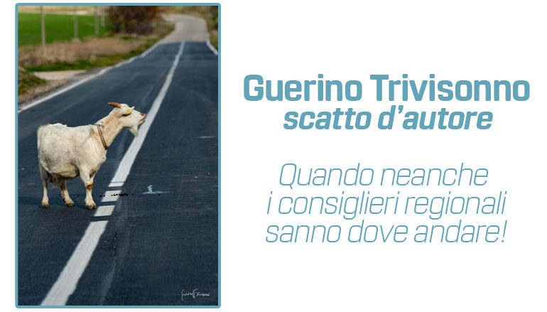 scatto d’autore di Guerrino Trivisonno