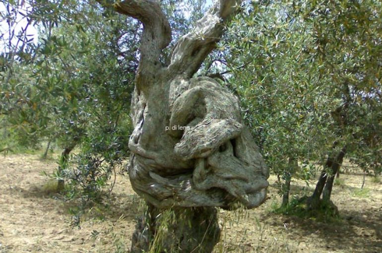 Per larino e il suo circondario