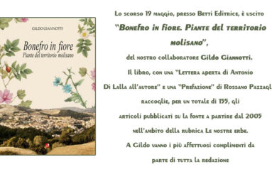 Introduzione a “Bonefro in fiore”