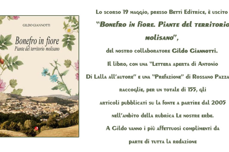 Bonefro in fiore