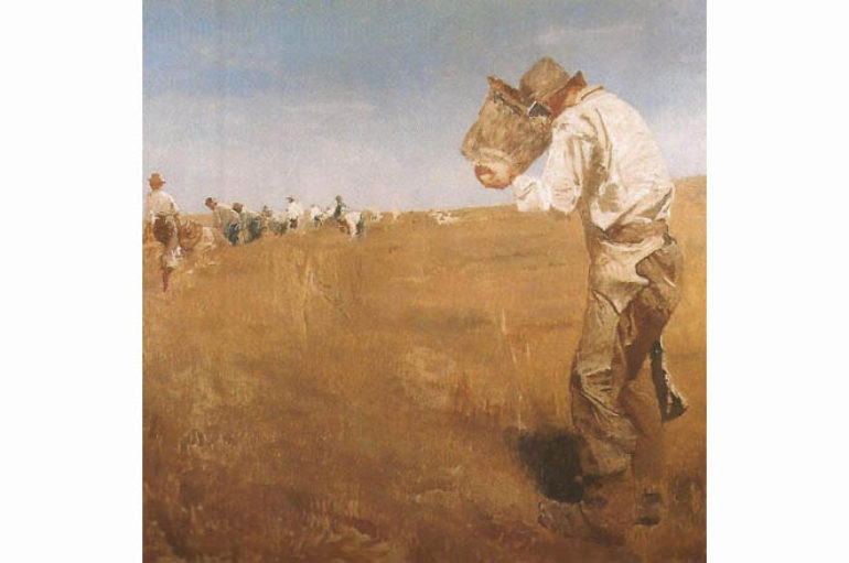 Agricoltura pugliese