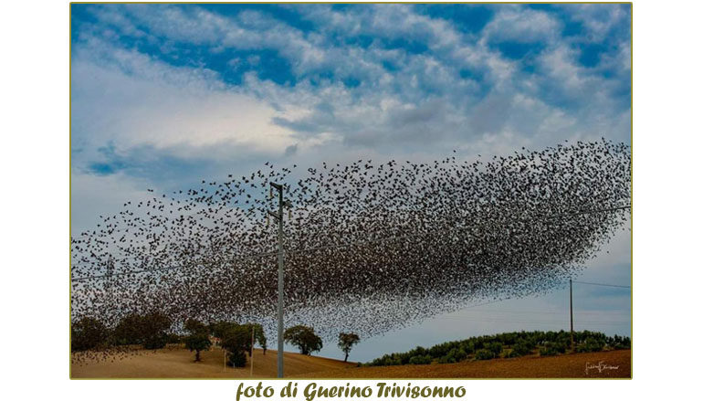 Sindaci in difesa del territorio