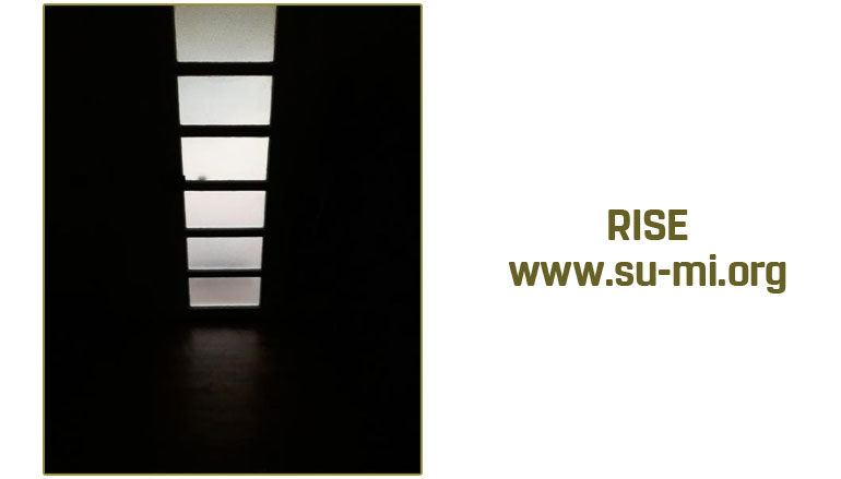 www.su-mi.org:  rise