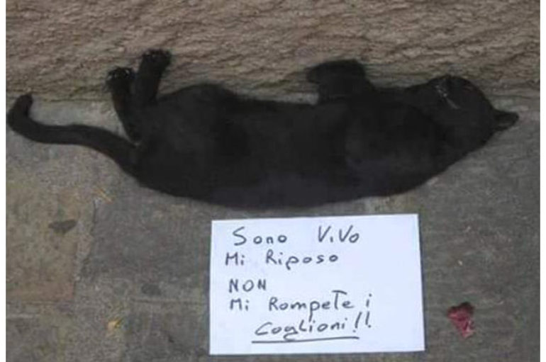 All’indomani del referendum