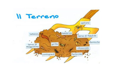 Fermiamo il consumo del suolo?