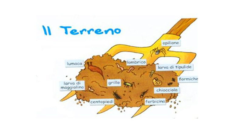 Fermiamo il consumo del suolo?