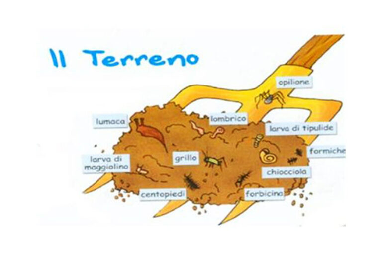 Fermiamo il consumo del suolo?