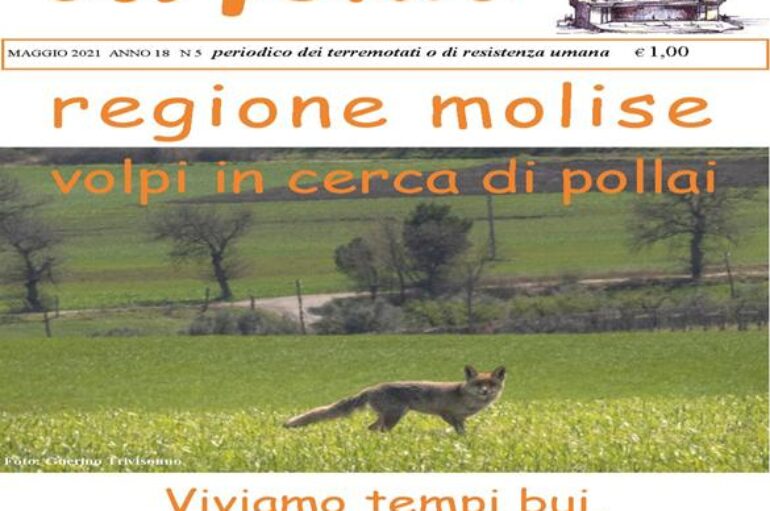 Molise: campagna vaccinale